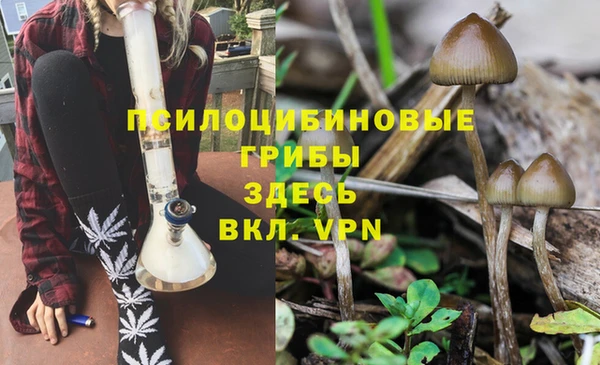 хмурый Нея