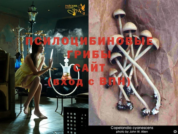 хмурый Нея
