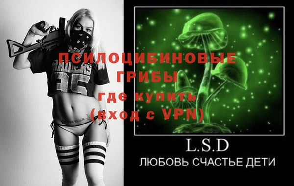 хмурый Нея