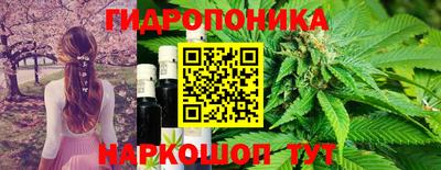 ПСИЛОЦИБИНОВЫЕ ГРИБЫ Гусев