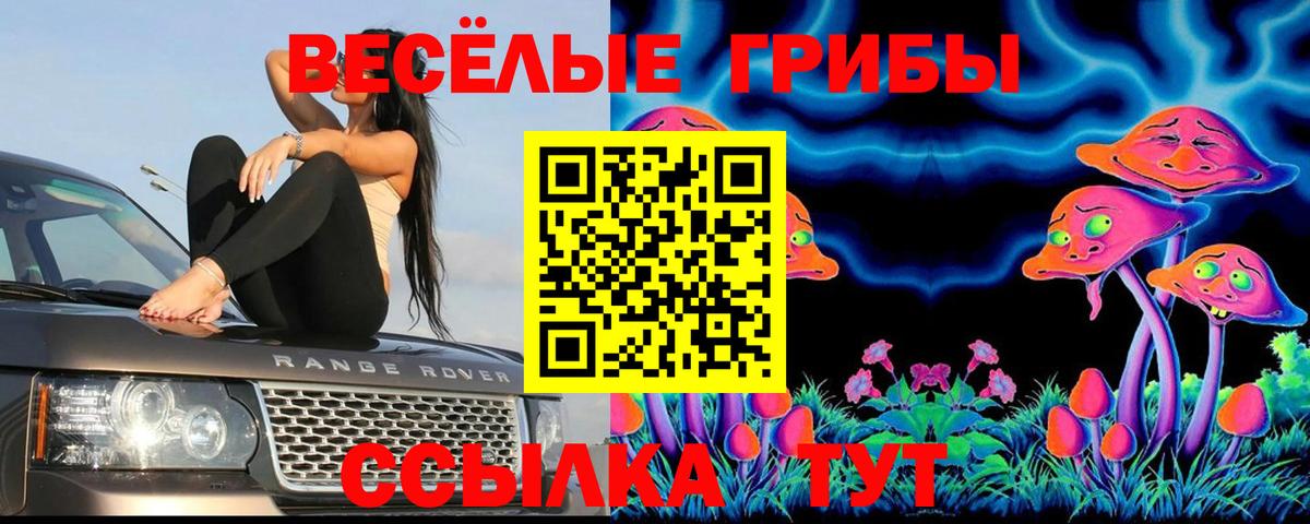 Галлюциногенные грибы Psilocybine cubensis  Вход с VPN  Галлюциногенные грибы ЛСД  Северск 